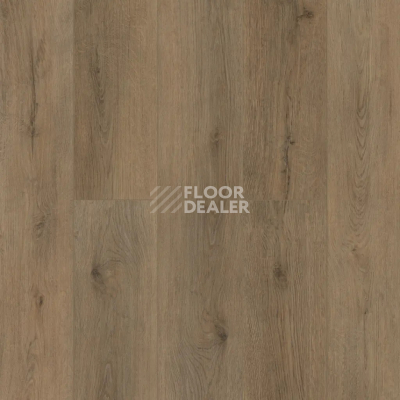 Кварцвиниловые полы Alpine Floor Easy Line 3мм Дуб Рейсдал ЕСО3-41 фото 1 | FLOORDEALER